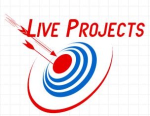 LiveProjects 300x232 Advantages of Live Project Training